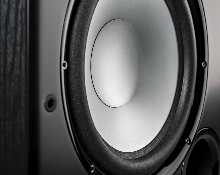 PSW speaker closeup