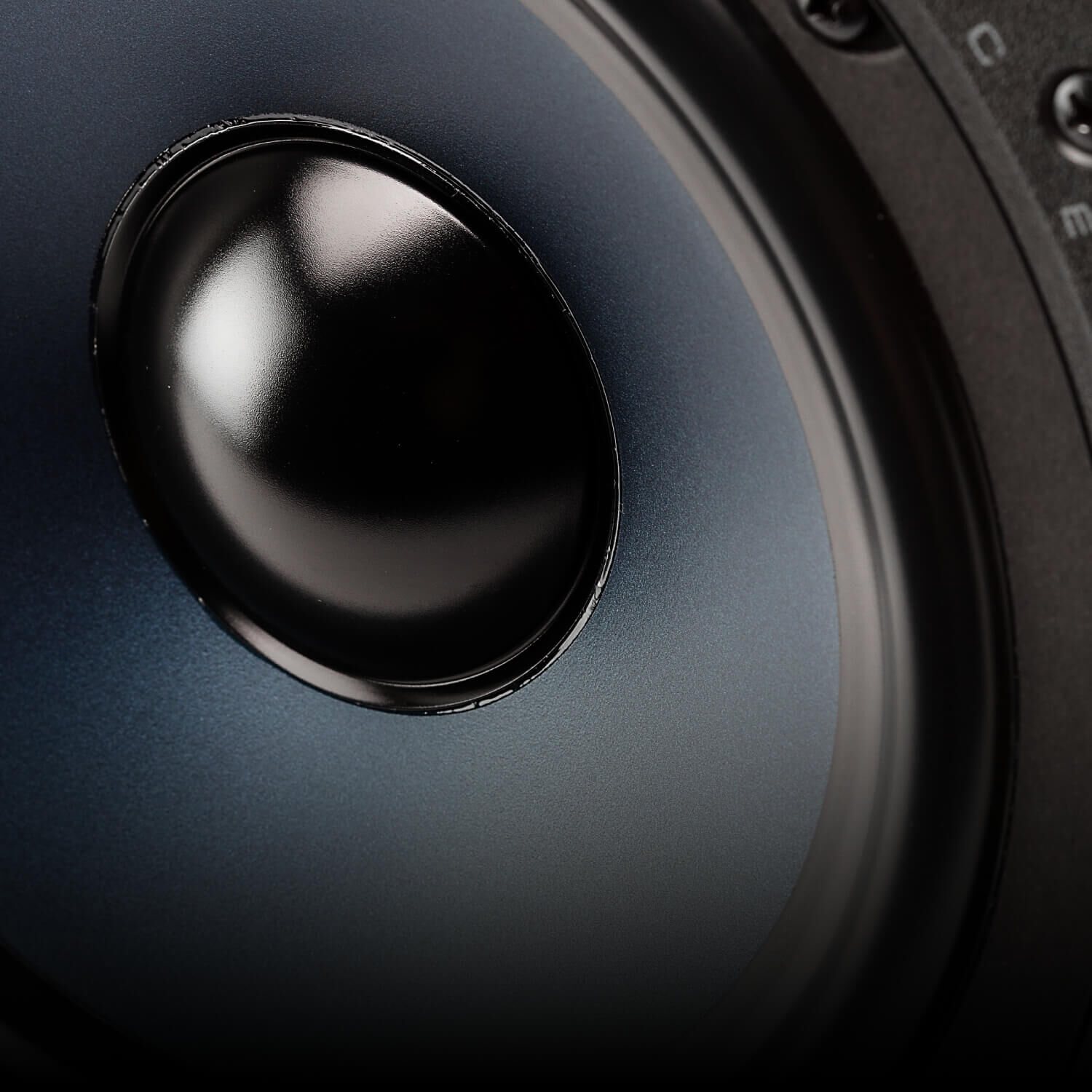 RCI Series speakers